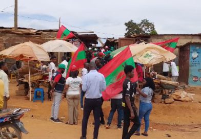 Cuanza-Norte: UNITA recebe Nelito EKuikui com  50 militantes e revela fraca capacidade de mobilização na província