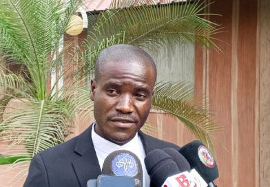 Especialista em naturopatia afirma que plantas medicinais de Angola são um “diamante verde” Especialista em naturopatia afirma que plantas medicinais de Angola são um “diamante verde”