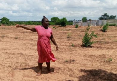 Cidadã acusa Administração do Calumbo de ocupar ilegalmente seu espaço de 16 hectares Cidadã acusa Administração do Calumbo de ocupar ilegalmente seu espaço de 16 hectares
