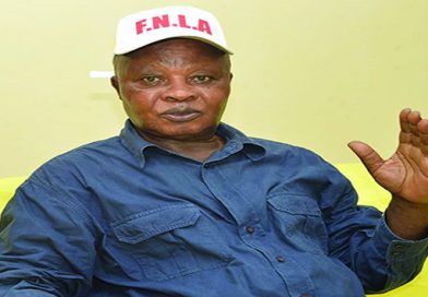 FNLA destitui presidente Nimi A Simbi e convoca congresso extraordinário para outubro FNLA destitui presidente Nimi A Simbi e convoca congresso extraordinário para outubro